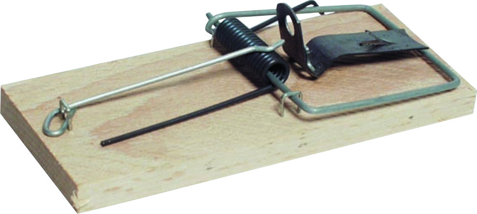 J.A.D. Tools past na myši dřevěná
